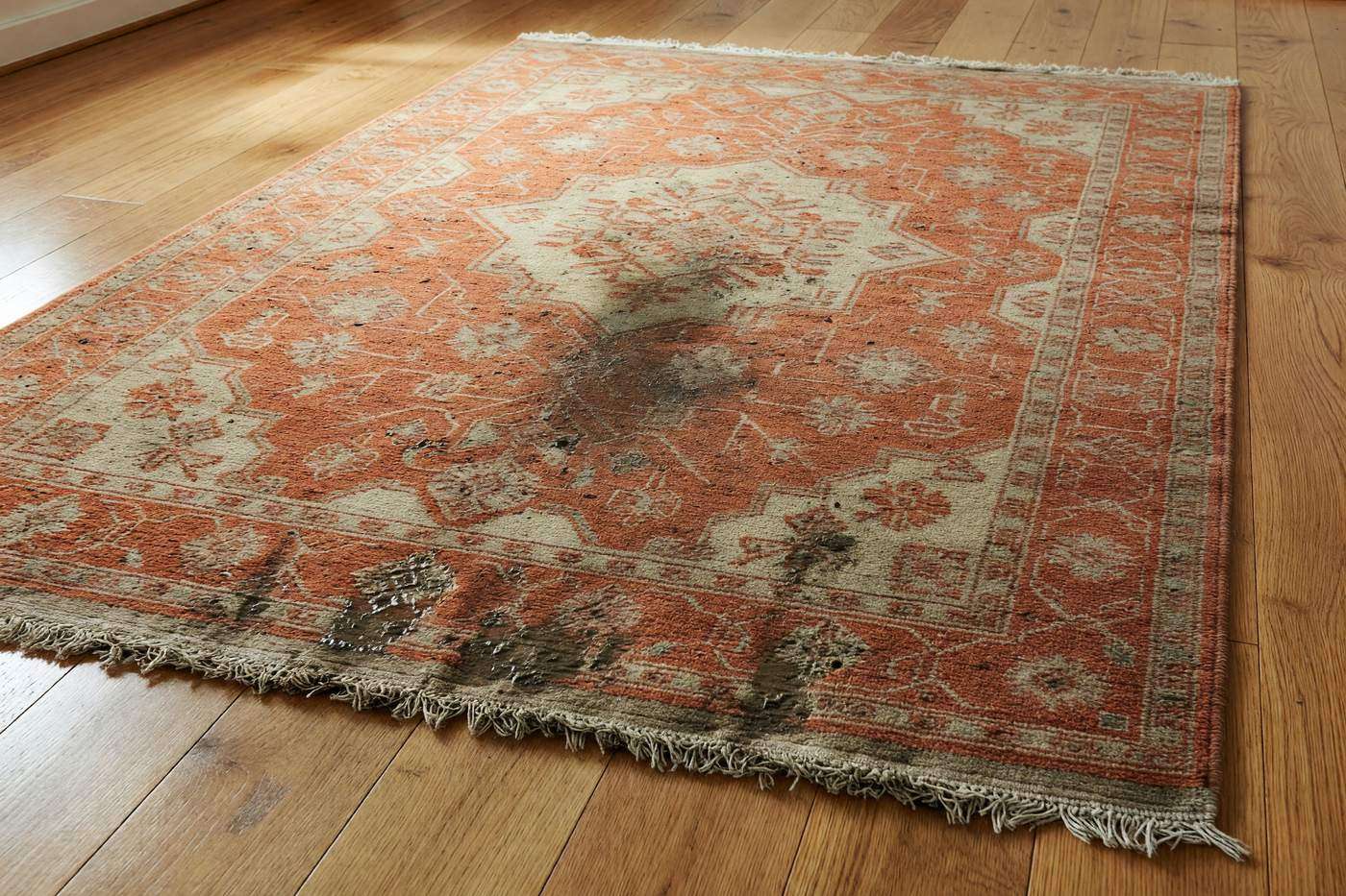 Patterned wool rug with dull colours, a pet stain and a grey tangled fringe